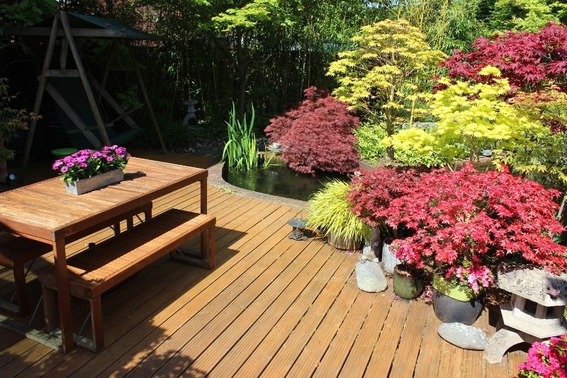 a garden area with plants above the decking grounds