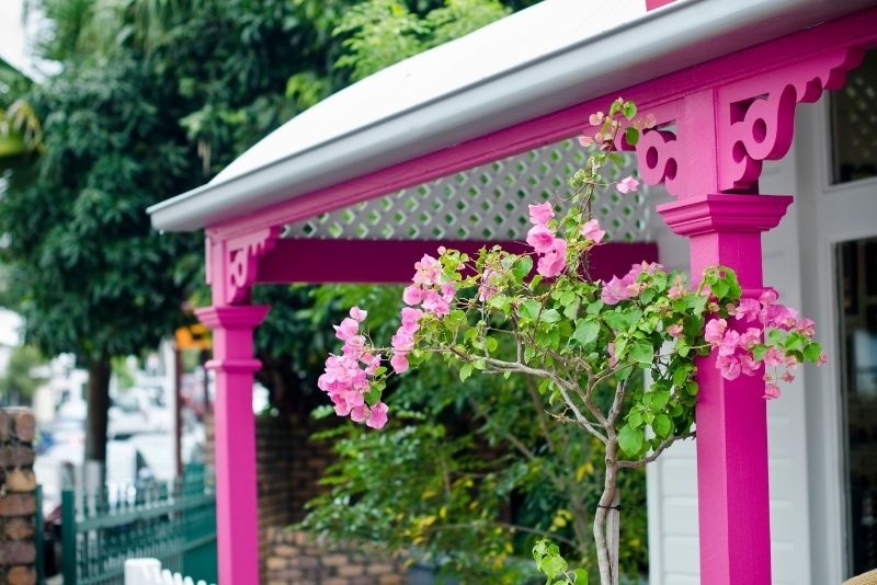 White and pink coloured verandah